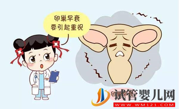 试管婴儿会导致卵巢早衰吗?卵巢早衰是由什么导致的?(图2) 试管婴儿会导致卵巢早衰吗?卵巢早衰是由什么导致的?(图2)