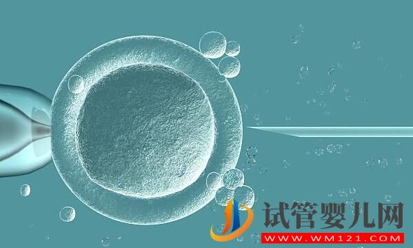 解答做试管婴儿的人非常担心的几个问题(图3) 解答做试管婴儿的人非常担心的几个问题(图3)