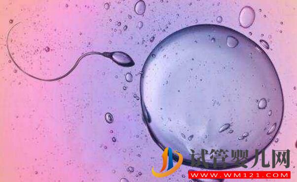 胚胎碎片率的变化对试管婴儿意味着什么(图1) 胚胎碎片率的变化对试管婴儿意味着什么(图1)