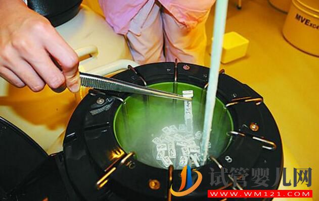 试管婴儿常见错误认知大集合 你对了吗(图4) 试管婴儿常见错误认知大集合 你对了吗(图4)