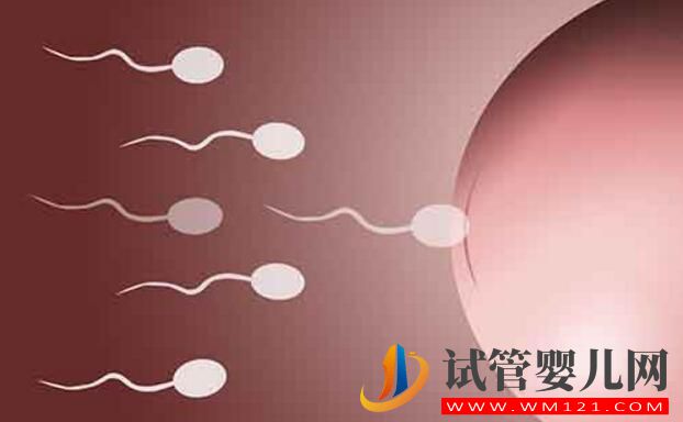 试管婴儿应不应该做?什么情况下去做?要如何选择(图5) 试管婴儿应不应该做?什么情况下去做?要如何选择(图5)