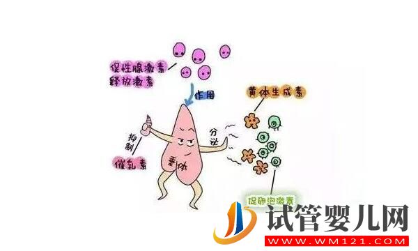 泌乳素高会影响做试管婴儿吗?如何比较好?(图3) 泌乳素高会影响做试管婴儿吗?如何比较好?(图3)
