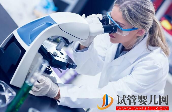 有过剖腹产做试管婴儿可以怀双胞胎吗?要需要休息多久能做(图2) 有过剖腹产做试管婴儿可以怀双胞胎吗?要需要休息多久能做(图2)