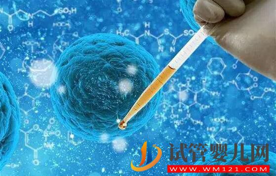 有过剖腹产做试管婴儿可以怀双胞胎吗?要需要休息多久能做(图4) 有过剖腹产做试管婴儿可以怀双胞胎吗?要需要休息多久能做(图4)