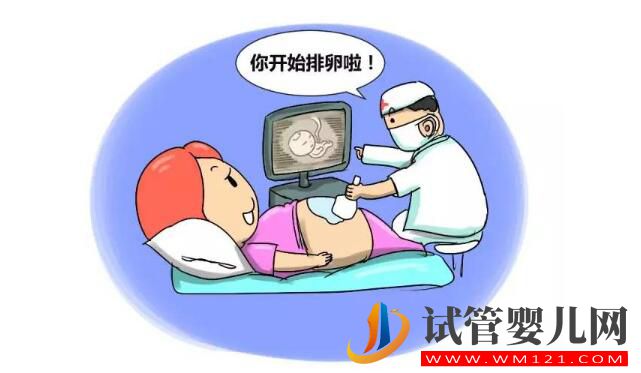 试管婴儿有多少个方案?如何选择促排卵方案?(图3) 试管婴儿有多少个方案?如何选择促排卵方案?(图3)