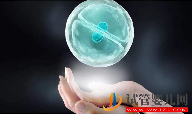 试管婴儿中冻胚和鲜胚有什么不同?不选鲜胚的原因(图1) 试管婴儿中冻胚和鲜胚有什么不同?不选鲜胚的原因(图1)