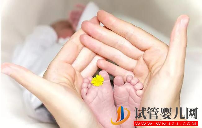 试管婴儿胚胎移植一个还是两个好(图1) 试管婴儿胚胎移植一个还是两个好(图1)