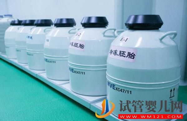 试管婴儿胚胎冷藏一年需要多少钱?(图1) 试管婴儿胚胎冷藏一年需要多少钱?(图1)