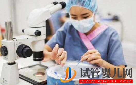 试管婴儿冻胚移植比鲜胚移植的成功率要高吗?(图2) 阿里试管婴儿冻胚移植比鲜胚移植的成功率要高吗?(图2)