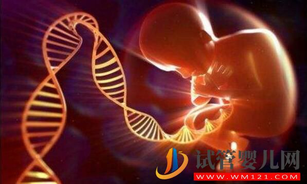 影响试管成功率的事项如何避免?如何自测试管成功率(图2) 影响试管成功率的事项如何避免?如何自测试管成功率(图2)