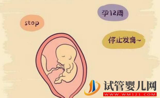 国内试管婴儿全过程和试管注意事项介绍(图3) 国内试管婴儿全过程和试管注意事项介绍(图3)