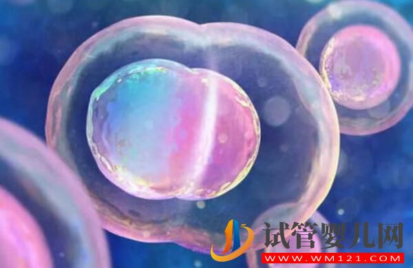 试管婴儿为什么不能包成功?存在的原因是什么(图1) 试管婴儿为什么不能包成功?存在的原因是什么(图1)