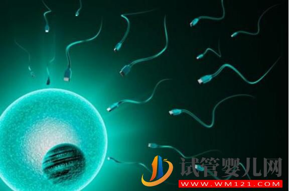 试管婴儿为什么不能包成功?存在的原因是什么(图3) 试管婴儿为什么不能包成功?存在的原因是什么(图3)