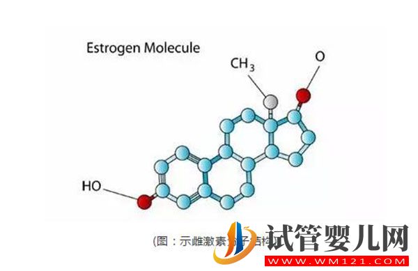 试管婴儿进周前检测雌激素是为什么?雌激素对于排卵进周的意义(图1) 试管婴儿进周前检测雌激素是为什么?雌激素对于排卵进周的意义(图1)