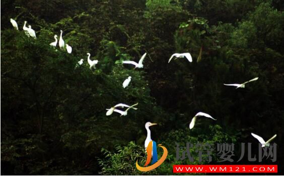 做试管婴儿心态很重要 情绪不好还会影响成功率(图4) 做试管婴儿心态很重要 情绪不好还会影响成功率(图4)