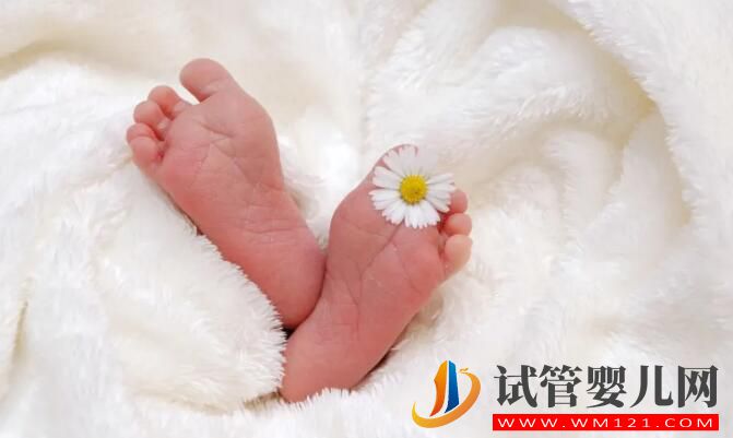 聊聊做试管婴儿的方案流程选择+适用人群介绍(图2) 聊聊做试管婴儿的方案流程选择+适用人群介绍(图2)