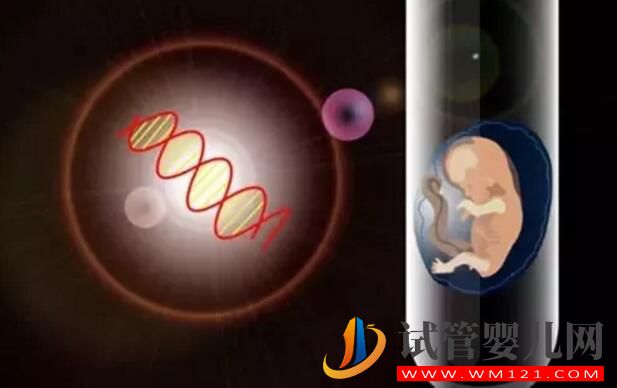 高龄备孕试管婴儿如何提高成功率 需要做哪些调理工作(图4) 高龄备孕试管婴儿如何提高成功率 需要做哪些调理工作(图4)