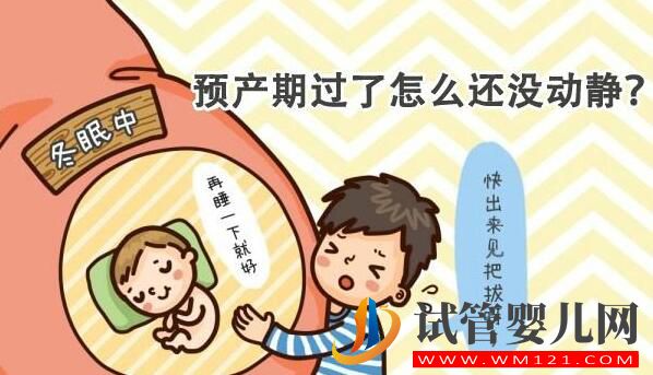 试管婴儿妊娠如何推算预产期 正常妊娠是怎么算的(图2) 试管婴儿妊娠如何推算预产期 正常妊娠是怎么算的(图2)