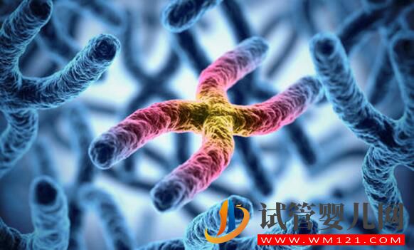 做试管婴儿的条件是什么?(图3) 做试管婴儿的条件是什么?(图3)