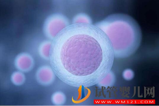 做试管婴儿的流程有哪些 手术费用包括哪些方面(图3) 安顺做试管婴儿的流程有哪些 手术费用包括哪些方面(图3)