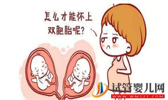 怎么样怀双胞胎的概率更大 有什么好的方法吗(图2) 怎么样怀双胞胎的概率更大 有什么好的方法吗(图2)