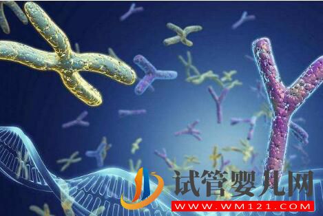 有人说试管婴儿长大后有弊端 来看看谣言是如何被攻破的(图3) 有人说试管婴儿长大后有弊端 来看看谣言是如何被攻破的(图3)