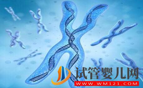 针对遗传疾病试管技术有什么效果?移植过后有不适怎么办?(图2) 针对遗传疾病试管技术有什么效果?移植过后有不适怎么办?(图2)