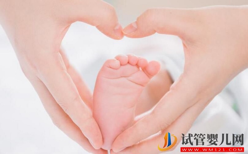 卵巢对于试管成功率有多大的影响?分娩时哪种方式更安全?(图2) 卵巢对于试管成功率有多大的影响?分娩时哪种方式更安全?(图2)