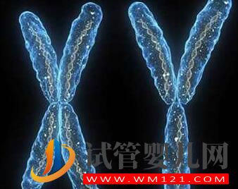 男性染色体异常有没有什么办法?能否进行人工授精?(图2) 男性染色体异常有没有什么办法?能否进行人工授精?(图2)