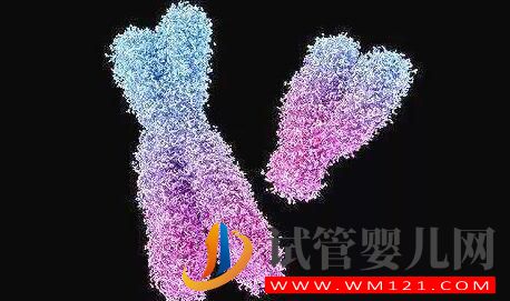 男性染色体异常有没有什么办法?能否进行人工授精?(图3) 男性染色体异常有没有什么办法?能否进行人工授精?(图3)
