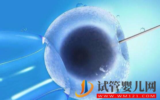 为什么囊胚移植的成功率会更高呢?(图2) 为什么囊胚移植的成功率会更高呢?(图2)