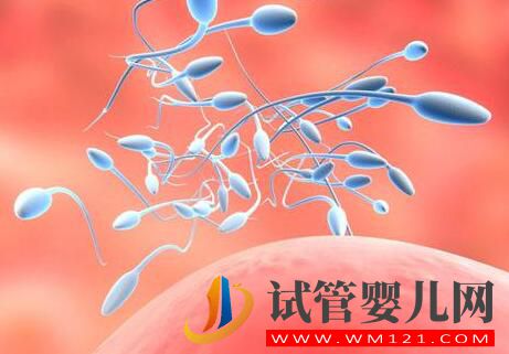 为什么男性精子问题频出?平时作息良好也难避免?(图2) 为什么男性精子问题频出?平时作息良好也难避免?(图2)