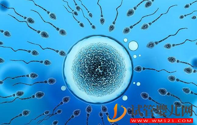 为什么试管的费用会因人而异?如何减少做试管的花费?(图3) 为什么试管的费用会因人而异?如何减少做试管的花费?(图3)