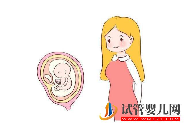 如何预防胚胎停育? 如何预防胚胎停育?教你几招!(图2)