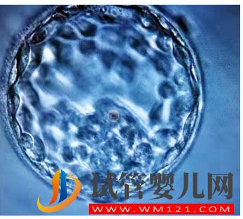 试管一次不成功做第二次费用多少(图1)