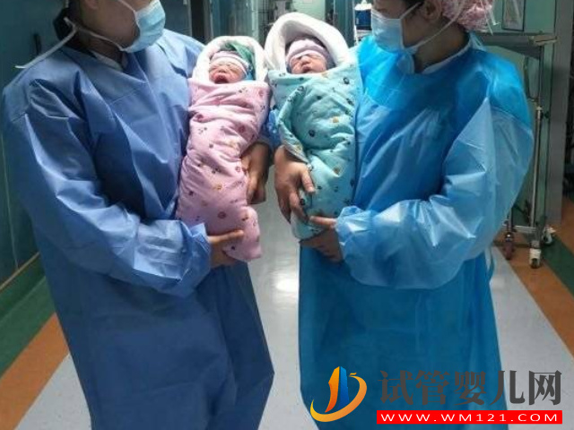 有2个成熟卵泡是不是一定就会生双胞胎？(图1)