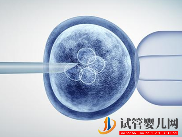 高龄女性做试管用冻卵成功率高吗?(图1) 高龄女性做试管用冻卵成功率高吗?(图1)