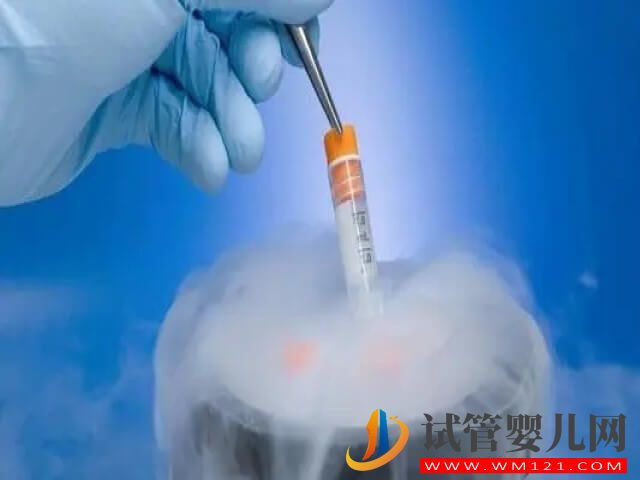 试管成功后剩余胚胎没交保存费医院还会怎么处理？(图1)