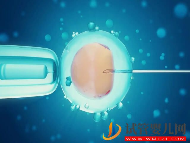 试管促排后一次性就取卵13个的成功率怎样?(图1) 试管促排后一次性就取卵13个的成功率怎样?(图1)