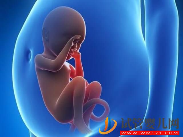 不孕不育患者利用试管婴儿技术助孕怀的都是双胎吗？(图1)