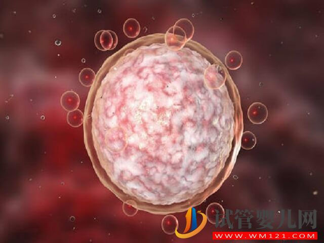 在石家庄做一次试管婴儿大概需要多少钱?(图1) 在石家庄做一次试管婴儿大概需要多少钱?(图1)