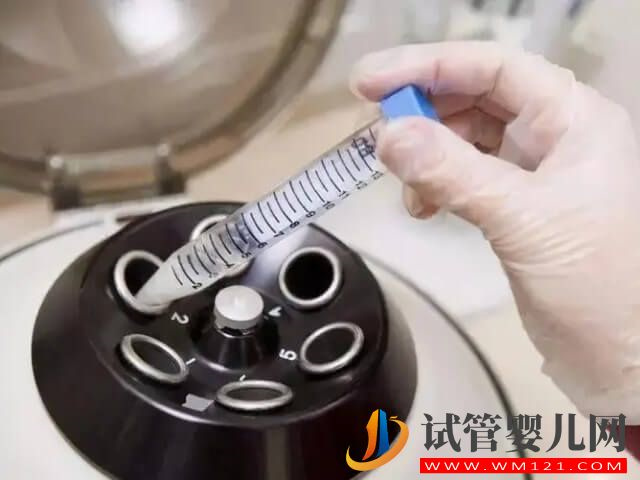 桂林181做试管可以选择胎儿男女性别是真的吗？(图1)
