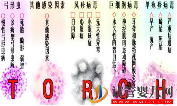 试管婴儿前期检查项目报告你看的懂吗?看完就会了(图7) 试管婴儿前期检查项目报告你看的懂吗?看完就会了(图7)