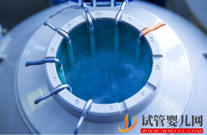试管婴儿鲜胚移植成功率高吗?哪些情况不能移植鲜胚(图2) 试管婴儿鲜胚移植成功率高吗?哪些情况不能移植鲜胚(图2)