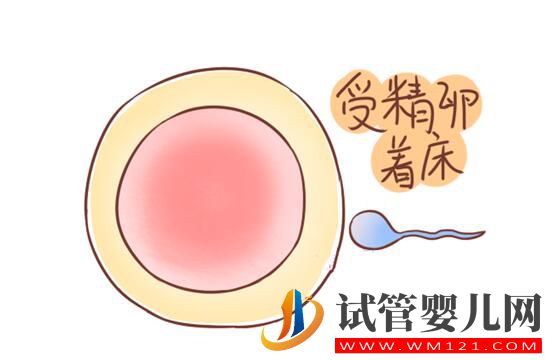 受精卵着床失败会排出分泌物吗？失败的原因有哪些(图1)
