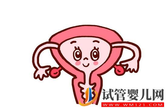 想做试管婴儿,子宫内膜不达标应该怎么办(图1) 想做试管婴儿,子宫内膜不达标应该怎么办(图1)