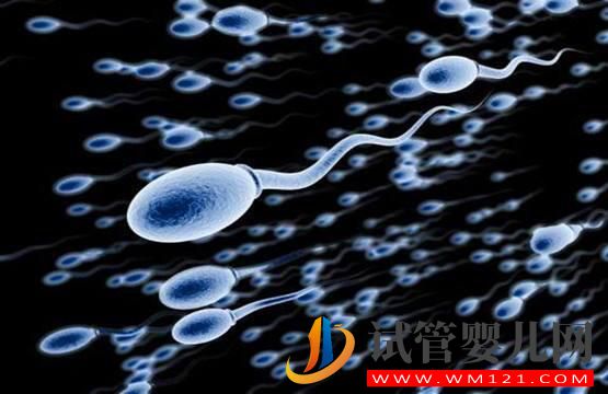 精子质量差 做试管婴儿如何提高精子质量和受精率吗?(图1) 精子质量差 做试管婴儿如何提高精子质量和受精率吗?(图1)