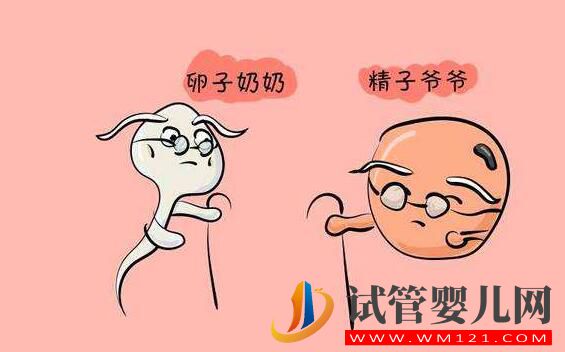 精子质量差 做试管婴儿如何提高精子质量和受精率吗?(图2) 精子质量差 做试管婴儿如何提高精子质量和受精率吗?(图2)