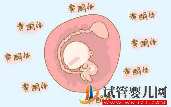 孕酮低就代表着需要保胎吗?孕酮、HCG与保胎的关系你了解吗?(图2) 孕酮低就代表着需要保胎吗?孕酮、HCG与保胎的关系你了解吗?(图2)