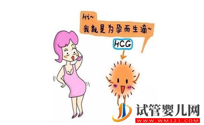 孕酮低就代表着需要保胎吗?孕酮、HCG与保胎的关系你了解吗?(图3) 孕酮低就代表着需要保胎吗?孕酮、HCG与保胎的关系你了解吗?(图3)